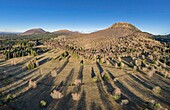 France, Puy de Dome, Orcines, Regional Natural Park of the Auvergne Volcanoes, listed as World Heritage by UNESCO, the Chaine des Puys (aerial view)