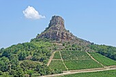 France, Saone et Loire, The rock of Solutre and the vineyard of Pouilly Fuisse