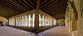 France, Gironde, Saint Emilion, listed as World Heritage by UNESCO, the medieval city, 12th century collegiate church, the cloister