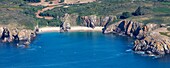 France, Vendee, Yeu island, l'Anse des Soux on the wild coast (aerial view)