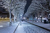 France, Hauts de Seine, Puteaux, city center under the snow