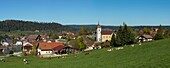 France, Doubs, panoramic vew of herd of cows in front at the top Doubs the village and the church saint Theodule of Labergement Sainte Marie