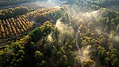 France, Vaucluse, Luberon Regional Natural Park, Cadenet, Bastide du Laval (aerial view)