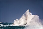 Frankreich, Finistere, Porspoder, Landunvez, Presqu'île de Saint Laurent, Chenal du Four, Der Vier-Leuchtturm im Sturm, Denkmalgeschützt