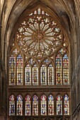 France, Moselle, Metz,Saint Etienne of Metz gothic cathedral, the stained glass windows of the western facade by Hermann de Munster