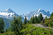 Frankreich, Haute Savoie, Chamonix Vallorcine, Aiguilles Rouges-Massiv, Mountainbiketour zur Loriaz-Hütte, Abfahrt zu den Almen und zum Mont-Blanc-Massiv