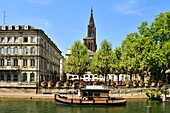 Frankreich, Bas Rhin, Straßburg, Altstadt, die zum Weltkulturerbe der UNESCO gehört, Kathedrale Notre Dame