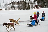 Frankreich, Savoyen, Massif de la Vanoise, Pralognan La Vanoise, Nationalpark, Einführungsaktivität für Hundeschlittenfahrten für kleine Kinder