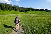 France, Haute Savoie, Le Petit-Bornand-les-Glières, hiker on the Glières plateau