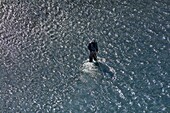 France, Savoy, Serrieres en Chautagne, Lone de La Bas, The Rhone, fisherman (aerial view)