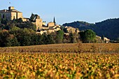 Frankreich, Vaucluse, regionaler Naturpark Luberon, Ansouis, ausgezeichnet mit dem Titel "Schönste Dörfer Frankreichs