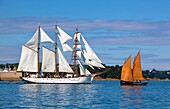 France, Finistere, Douarnenez, Festival Maritime Temps Fête, Marité, traditional sailboat on the port of Rosmeur