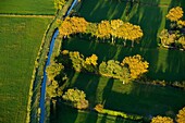 France, Bouches du Rhone, Camargue Regional Nature Park, Arles, hamlet of Raphele les Arles (aerial view)