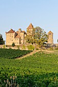 Frankreich, Saone et Loire, Pierreclos, Schloss von Pierreclos