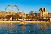 France, Paris, Tuileries Garden in Winter, Octagonal Pool and Christmas Grand Wheel