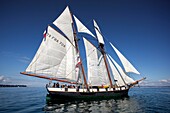 Frankreich, Finistere, Douarnenez, Festival Maritime Temps Fête, La Recouvrance, traditionelles Segelboot im Hafen von Rosmeur