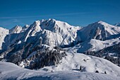 Frankreich, Haute Savoie, Aravis-Massiv, Manigod, Wanderung am Mont Sulens, vom Gipfel mit Blick auf die Mouilles und das Massif de l'Etale