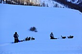 France, Hautes Alpes, Regional Natural Park of Queyras, Ristolas, hamlet of L'echalp, dog sled teams