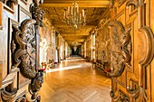 France, Seine et Marne, Fontainebleau, Fontainebleau royal castle listed as UNESCO World Heritage, the Galerie Francois the First