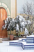 France, Hauts de Seine, Puteaux, Jardin du Sud, morrocan garden in winter