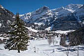 France, Savoie, Massif de la Vanoise, Pralognan La Vanoise, National Park, general view of the summit of the Mey needle lift