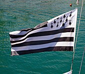 Frankreich, Finistere, Douarnenez, Festival Maritime Temps Fête, bretonische Flagge im Hafen von Rosmeur