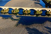 France, Gard, Pont Saint Esprit, fantastic bridge of the Holy Spirit (13th and 14th century), The Rhone (aerial view)