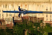 France, Isere, Vienna, rowing on the Rhone