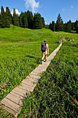France, Haute Savoie, Le Petit-Bornand-les-Glières, hiker on the Glières plateau