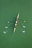 France, Gard, Beaucaire, rowing on the Rhone (aerial view)