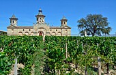 France, Gironde, estuary of the Gironde, St Estephe, Chateau Cos d'Estournel, wine growing estate of the Medoc naming AOC Saint Estephe (Protected Designation of Origin Saint Estephe)