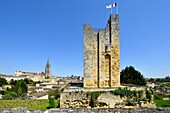 Frankreich, Gironde, Saint Emilion, von der UNESCO zum Weltkulturerbe erklärt, Roy-Turm, Bergfried aus dem 13. Jahrhundert, einziges Überbleibsel der Burg Saint Emilion, im Hintergrund die vollständig aus dem Fels gehauene monolithische Kirche aus dem 11.
