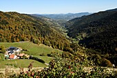 Frankreich, Haut Rhin, Le Bonhomme, Col des Bagenelles, Bauernhaus La Graine Johe, mit Blick auf das Tal von Sainte Marie aux Mines