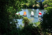 France, Drome, La Roche de Glun, nautical festival on the basin of Musards, optimist