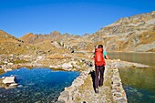 France, Isere, La Ferriere, hiker at lake Motte