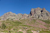 France, Corse du Sud, Asco, group of hikers on the GR 20 near the Haut Asco (1422m) resort