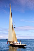 Frankreich, Finistere, Douarnenez, Festival Maritime Temps Fête, Phoebus, traditionelles Segelboot im Hafen von Rosmeur