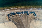 France, Gironde, Bassin d'Arcachon, Arcachon, refreshing of the beach Pereire (aerial view)