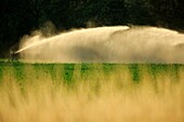 France, Drome, Saulce sur Rhone, watering fields