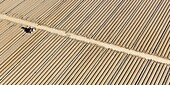 France, Vendee, Maché, tractor preparing a field to grow vegetables (aerial view)