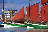 France, Finistere, Douarnenez, Festival Maritime Temps Fête, sailboats and old rigging on the port of Rosmeur