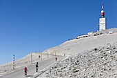 France, Vaucluse, Bedoin, cyclists and a monocyclist arriving at Mont Ventoux summit (1912 m)
