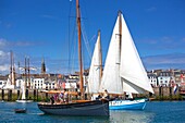 France, Finistere, Douarnenez, Festival Maritime Temps Fête, Het Boot, traditional sailboat on the port of Rosmeur