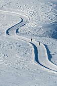 France, Haute Savoie, massive Bauges, above Annecy limit with the Savoie, the Semnoz plateau exceptional belvedere on the Northern Alps, cross country skiing trails south of the plateau