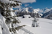 France, Haute Savoie, massif of Aravis, gone hiking in racket on the tray of Beauregard over the resorts of Manigod and Clusaz, the big chalet of Follieres