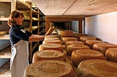 France, Pyrenees, Ariege, Seix, GAEC D'ARPOS, Sentenac d'Oust, cheese factory in Bethmale
