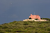 Frankreich, Var, Iles d'Hyeres, Parc National de Port Cros (Nationalpark von Port Cros), Insel Porquerolles, Grand Langoustier restauriert und privates Fort