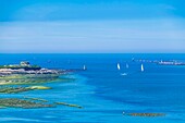 France, Finistère (29), Pays des Abers, Côte des Legendes, l'Aber Wrac'h, Cezon Fort and oysters park in the background