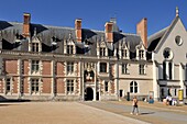 France, Loir et Cher, Valley of the Loire listed as World Heritage by UNESCO, Blois, royal castle of Blois, Louis XII facade of the castle and equestrian statue of Louis XII