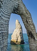 France, Seine Maritime, Cote d'albatre, Etretat, the cliff, arch and needle (aerial view)